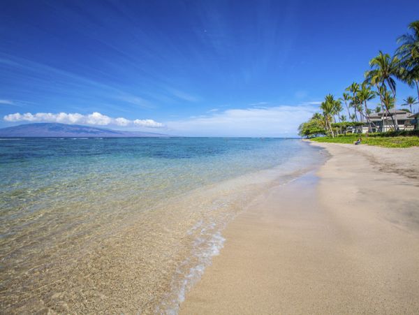 Lahaina Home 968075