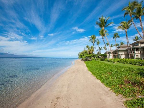 Lahaina Beachfront 4 Bedroom Luxury
