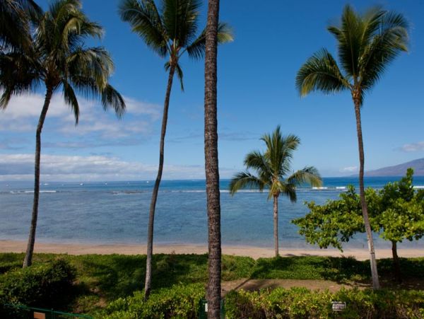 Lahaina Condo 968105