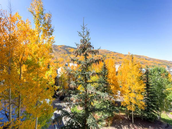 Beaver Creek Bachelor Gulch Condo 968340