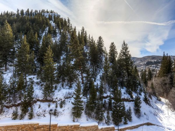 Beaver Creek Bachelor Gulch Condo 968360