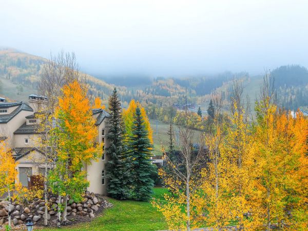 Beaver Creek Bachelor Gulch Condo 968370
