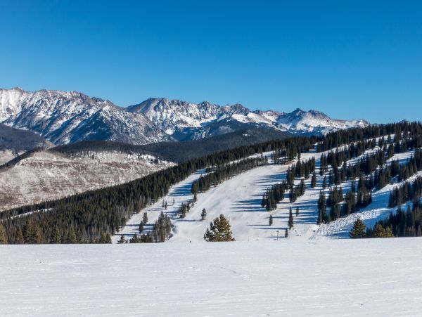Incredible 5 Bedroom Vail Vacation Chalet Short Walk to Lift