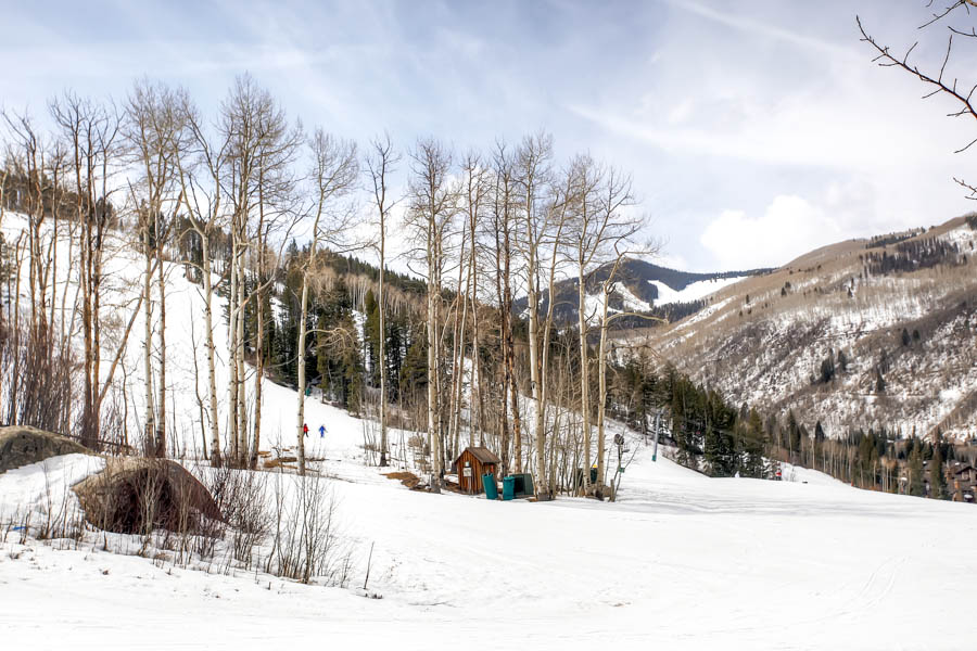 Beaver Creek Bachelor Gulch Condo 968402