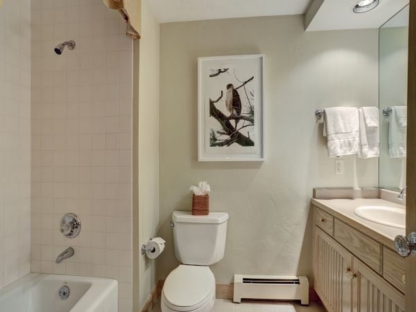 Beaver Creek Bachelor Gulch Home 968418