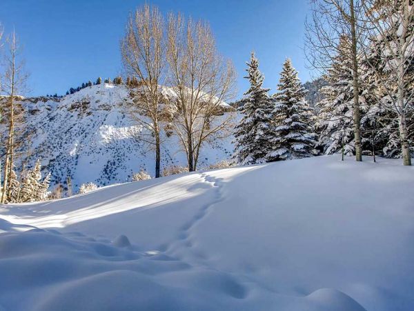 Beaver Creek Bachelor Gulch Home 968450