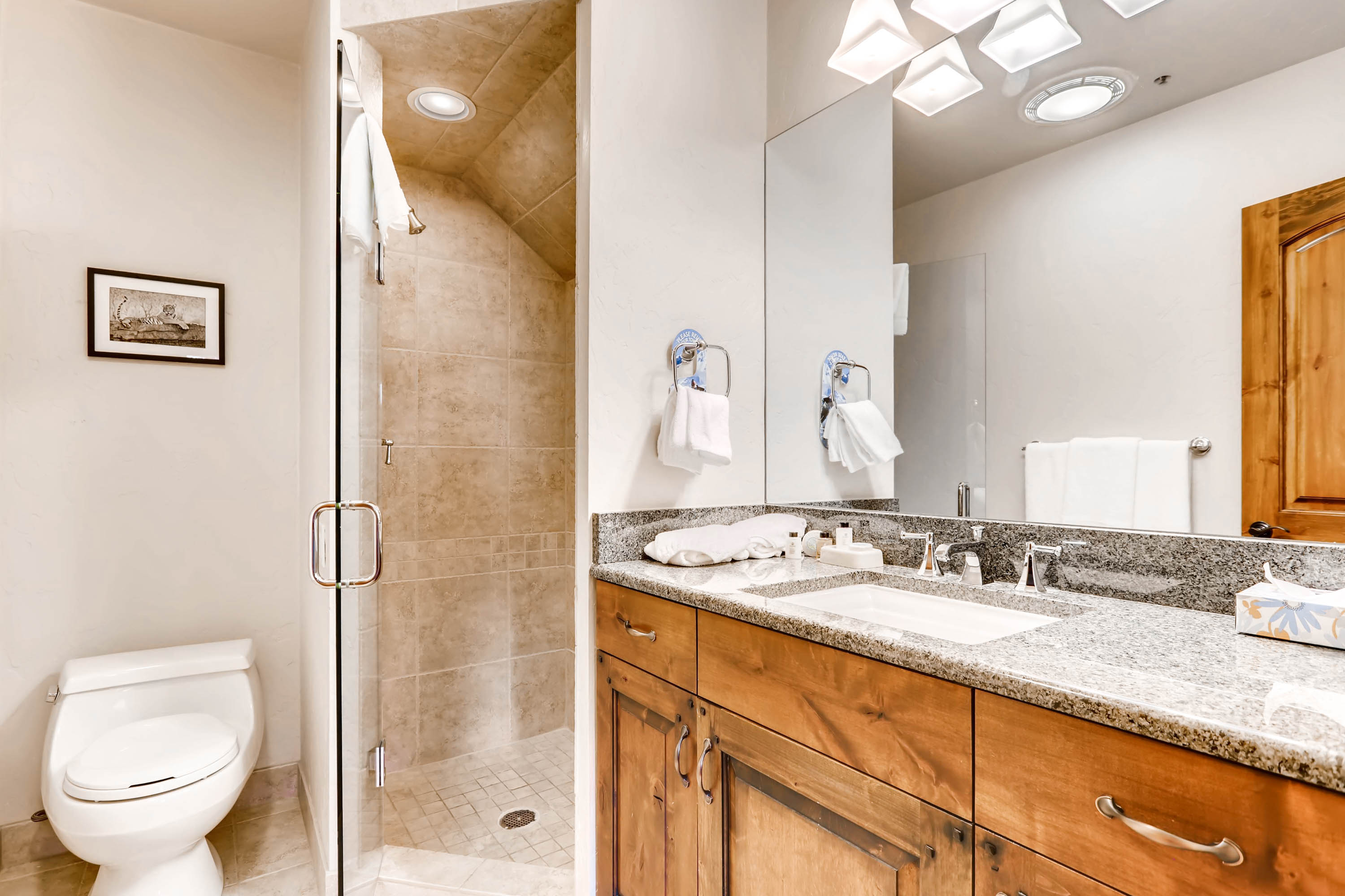 Beaver Creek Bachelor Gulch Condo 968459