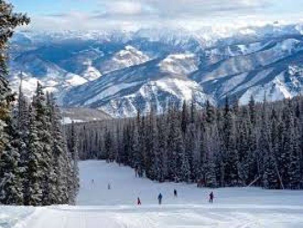 Beaver Creek Four Bedroom Vacation Rental Walk to Lift
