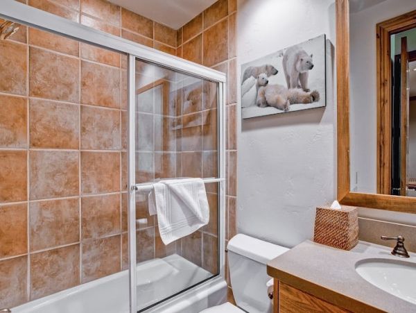 Beaver Creek Bachelor Gulch Home 968533