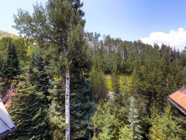 Beaver Creek Bachelor Gulch Home 968538