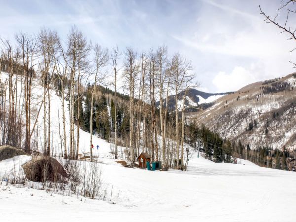 Beaver Creek Bachelor Gulch Condo 968564