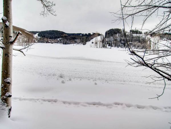Beaver Creek Bachelor Gulch Condo 968587