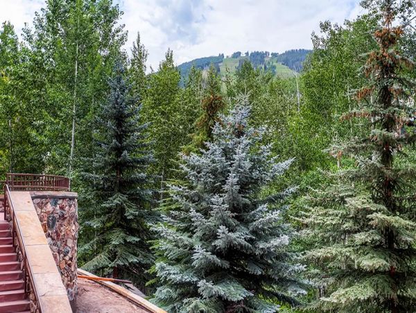 Beaver Creek Bachelor Gulch Condo 968602