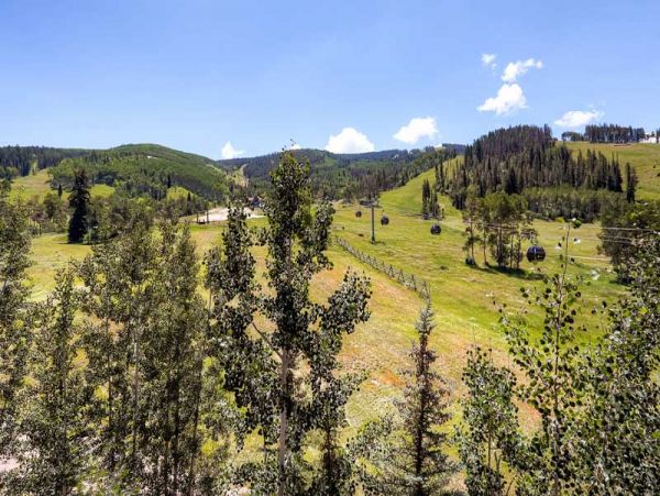 Beaver Creek Bachelor Gulch Condo 968635