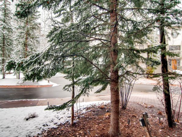 Beaver Creek Bachelor Gulch Condo 968642