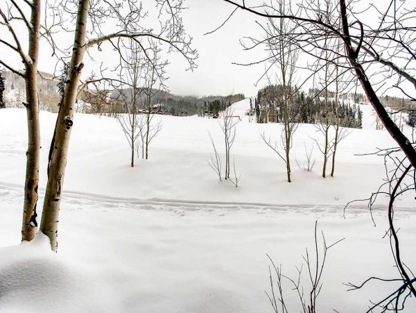 Beaver Creek Bachelor Gulch Condo 968652