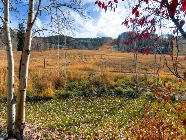 Beaver Creek Bachelor Gulch Condo 968652