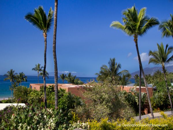 Wailea Condo 969015