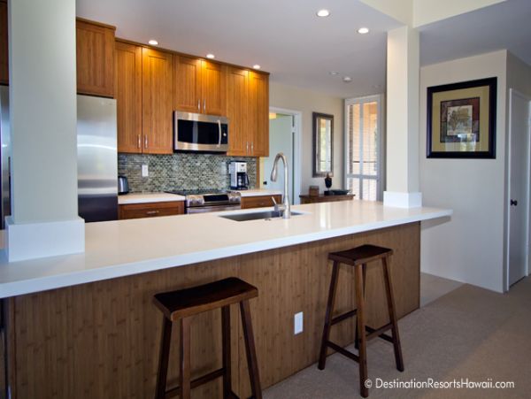 Wailea Condo 969015