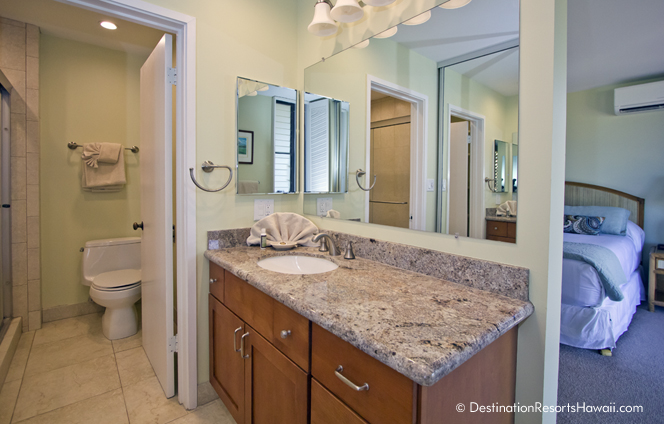 Wailea Condo 969015
