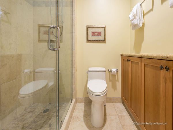 Wailea Condo 969016