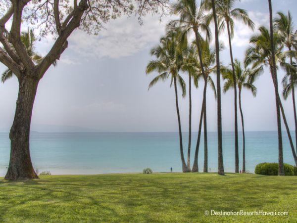 Wailea Condo 969017
