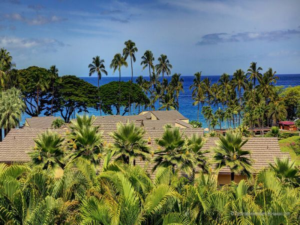 Wailea Condo 969018