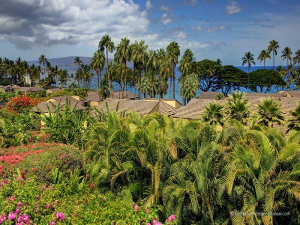 Wailea Condo 969018