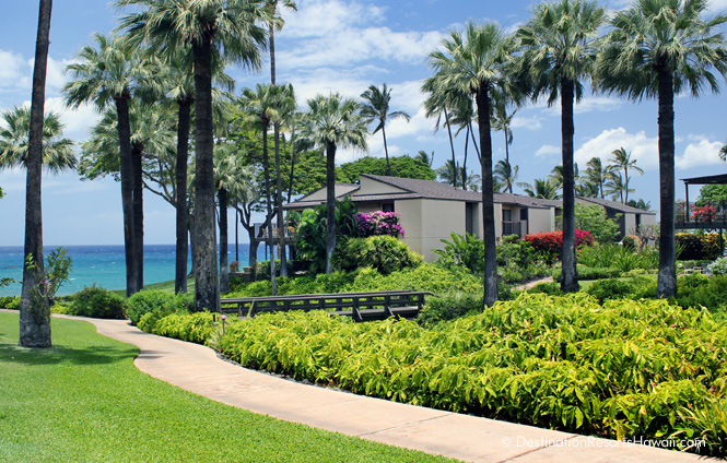 Wailea Condo 969019