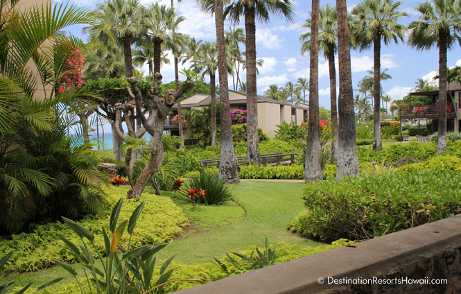 Wailea Condo 969019