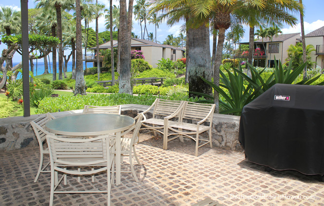 Wailea Condo 969019