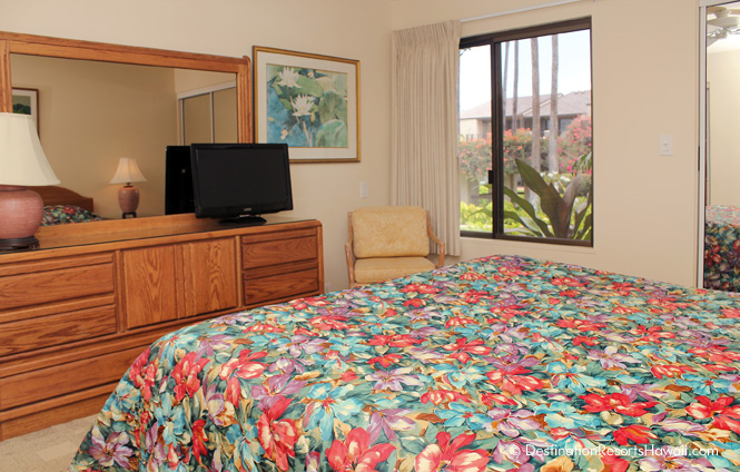 Wailea Condo 969019