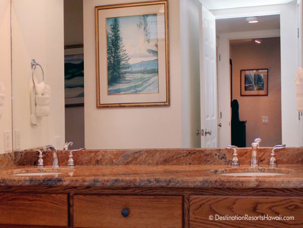 Wailea Condo 969019