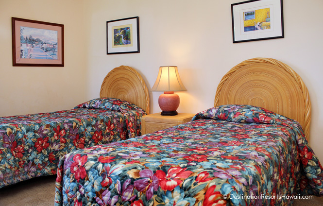 Wailea Condo 969019