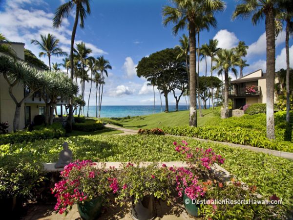 Wailea Condo 969021
