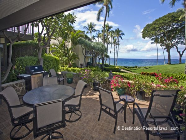 Wailea Condo 969021