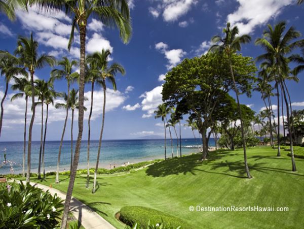 Wailea Condo 969023