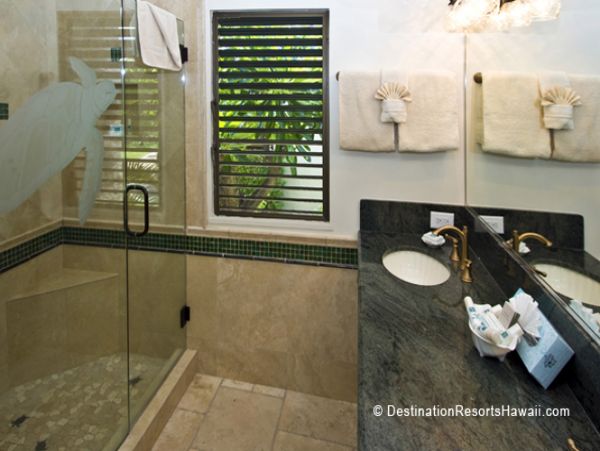 Wailea Condo 969023