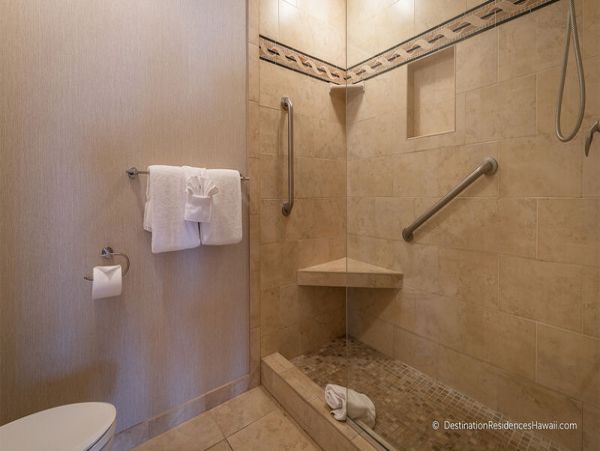 Wailea Condo 969024