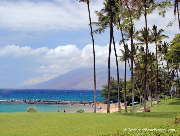 Wailea Condo 969025
