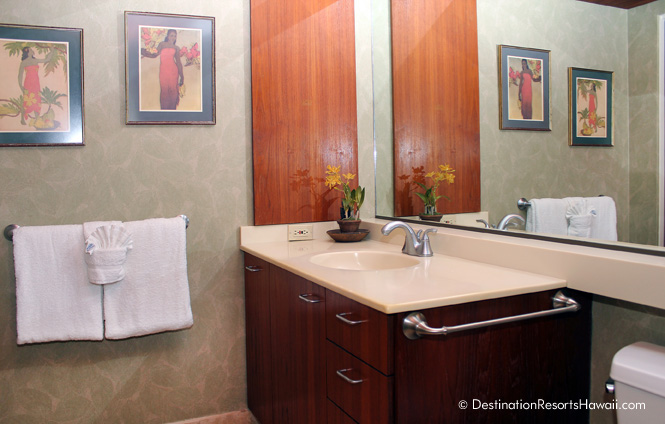 Wailea Condo 969025