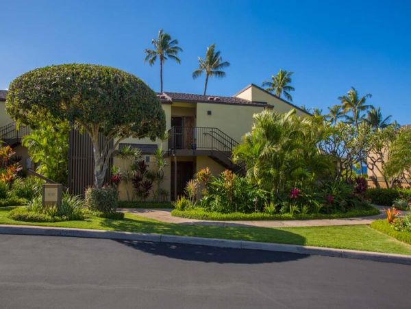 Wailea Condo 969026