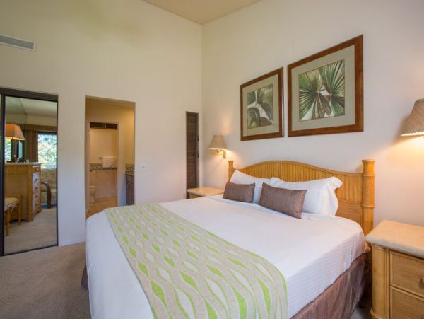 Wailea Condo 969026
