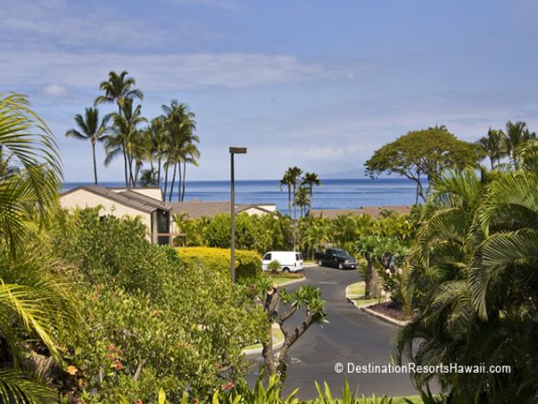 Wailea Condo 969027