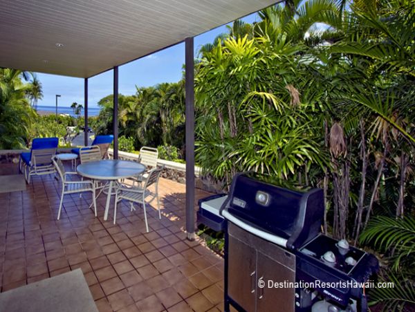 Wailea Condo 969027