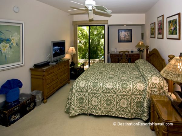 Wailea Condo 969027