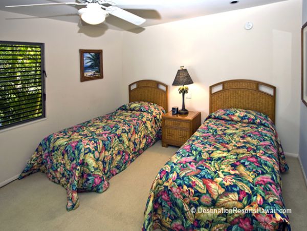 Wailea Condo 969027
