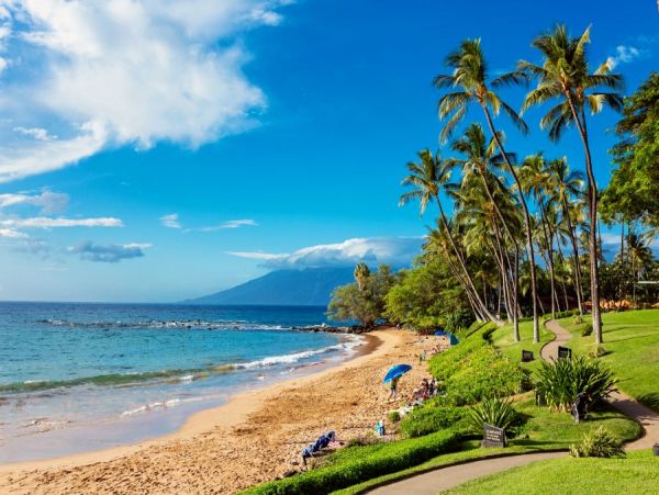 Wailea Condo 969028