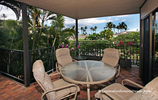 Wailea Condo 969029