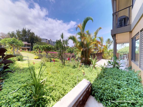 Wailea Condo 969029